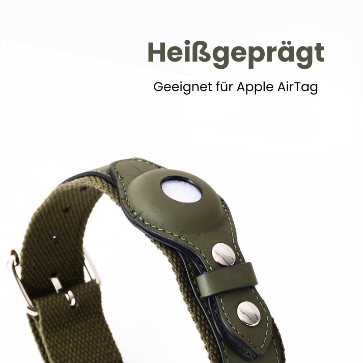 AirTag Hundehalsband – Leder | Velvetgrün
