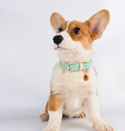 VELVETPAW - Leder Hundeleine & Halsband - Set | Premium Echtleder