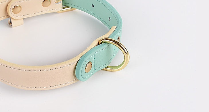 VELVETPAW - Leder Hundeleine & Halsband - Set | Premium Echtleder