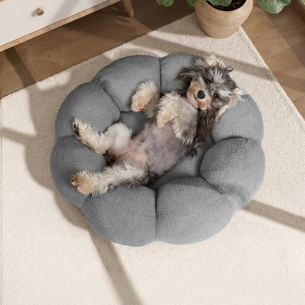 VELVETPAW - Donut Katzenbett