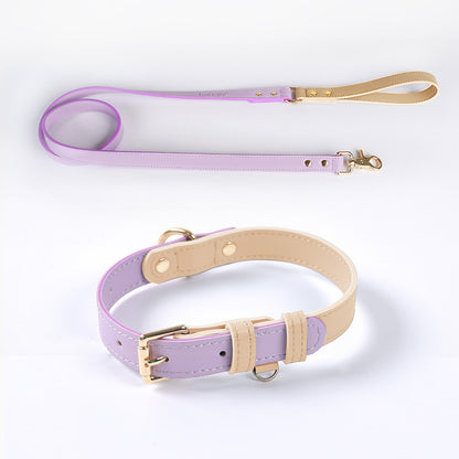 VELVETPAW - Leder Hundeleine & Halsband - Set | Premium Echtleder