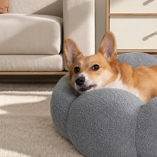 VELVETPAW - Donut Katzenbett